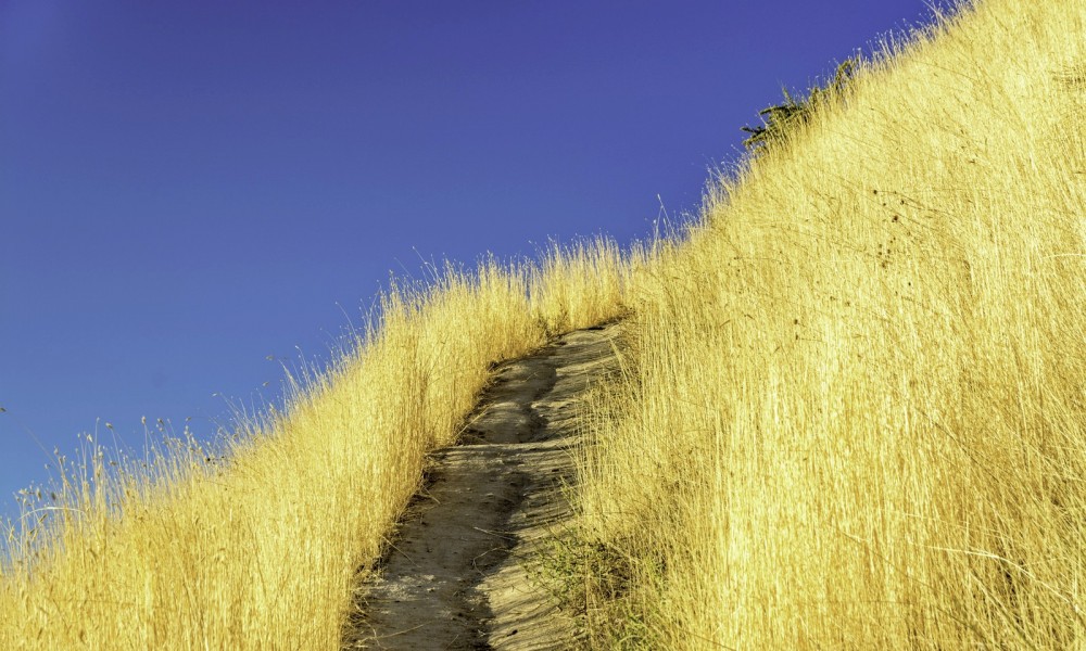 Clear skies and sunny days? Finding my route looks great!